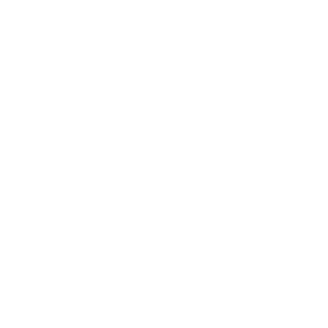 logo-mizuno